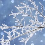 冬期休業のお知らせ